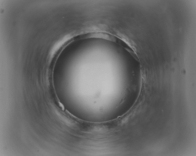 X0000070430248200606231925