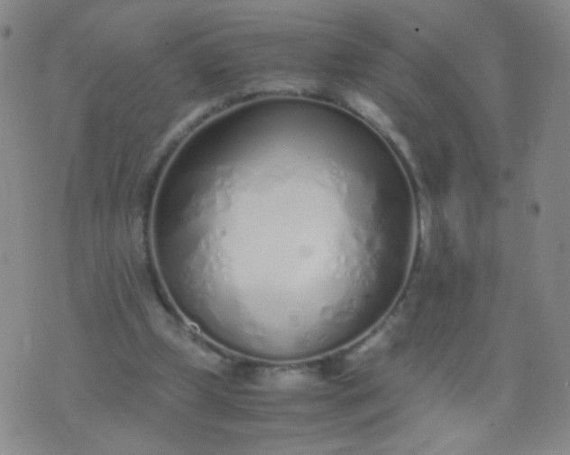 X0000070430249200606231925