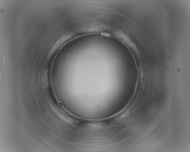 X0000070430250200606231925