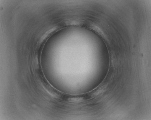 X0000070430251200606231925