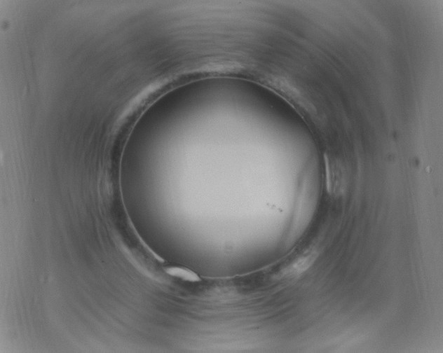 X0000070430252200606231925