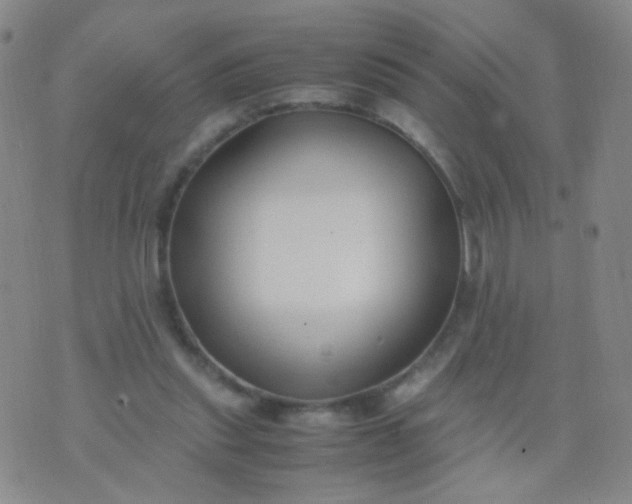 X0000070430253200606231925