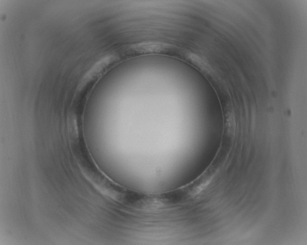 X0000070430254200606231925