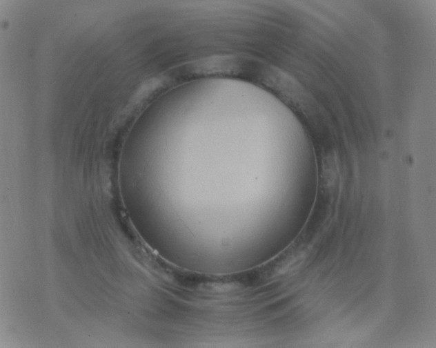 X0000070430255200606231925