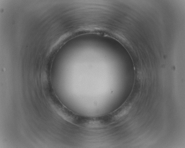 X0000070430256200606231925