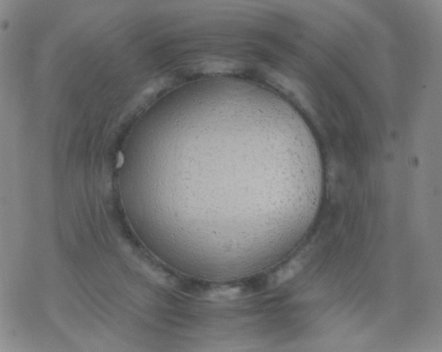 X0000070430257200606231925