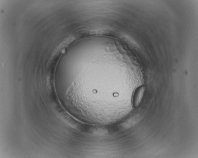 X0000070430258200606231925