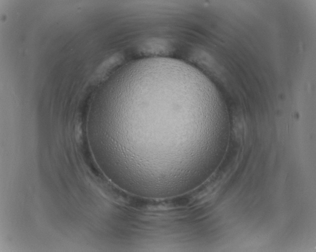 X0000070430259200606231925