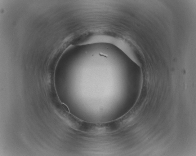 X0000070430260200606231925