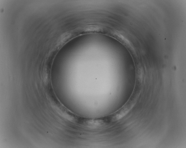 X0000070430261200606231925