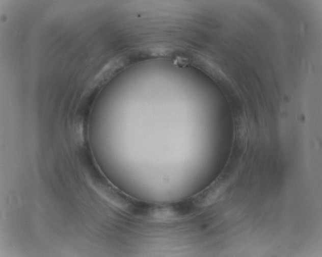 X0000070430262200606231925