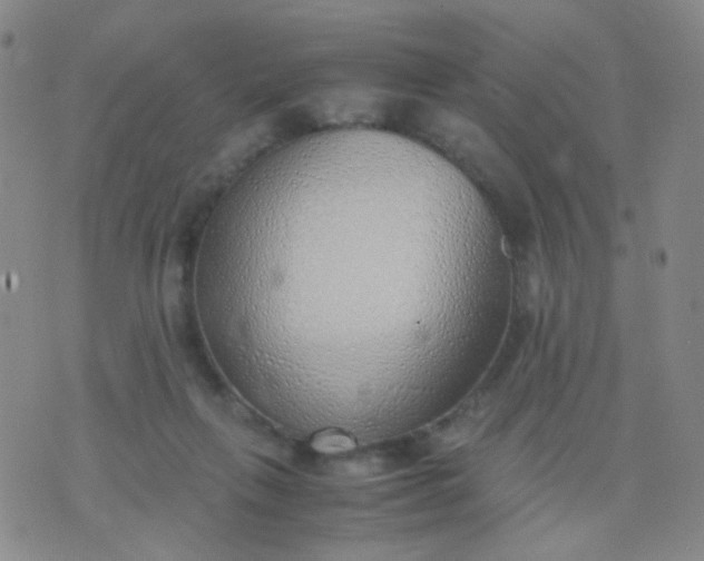 X0000070430263200606231925