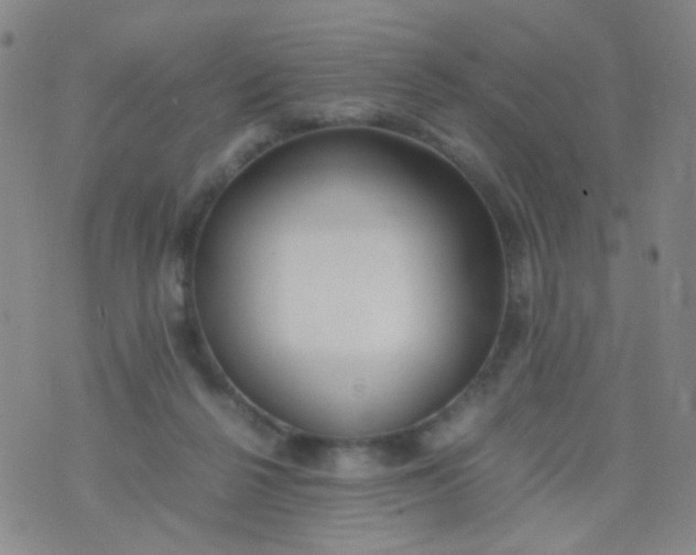 X0000070430264200606231925