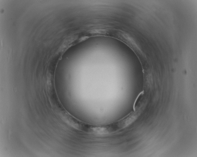 X0000070430265200606231925