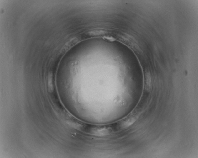 X0000070430267200606231925