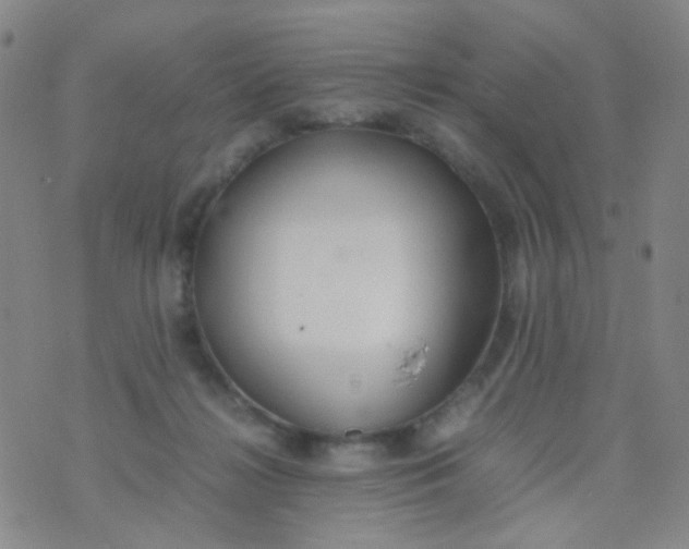 X0000070430268200606231925