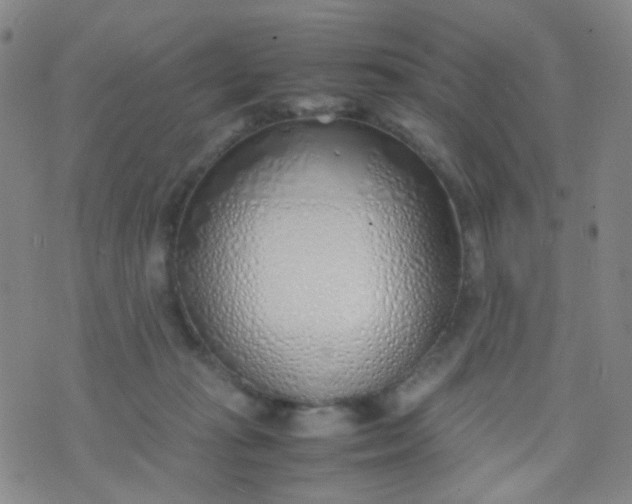 X0000070430269200606231925