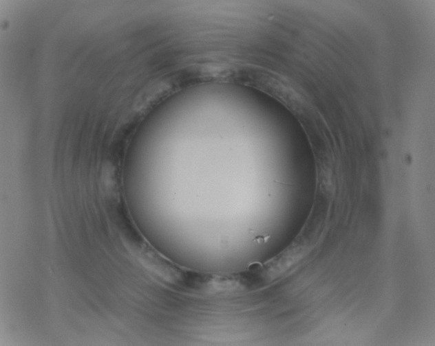 X0000070430270200606231925