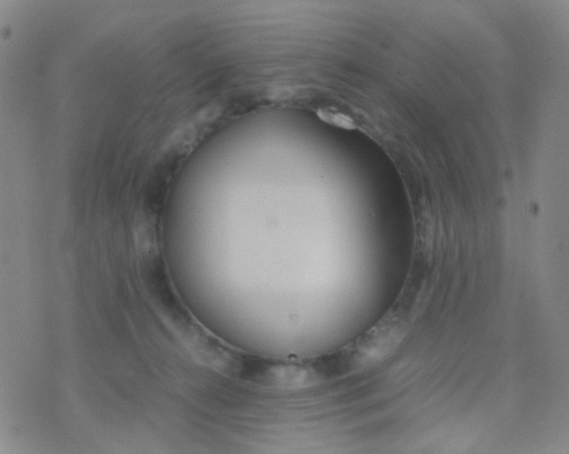 X0000070430272200606231925