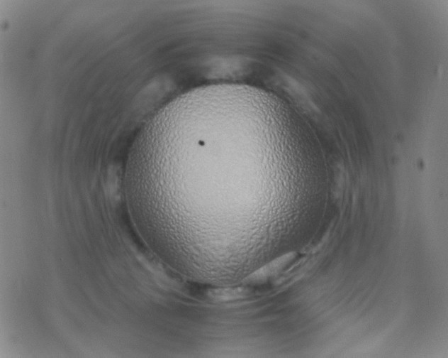 X0000070430273200606231925