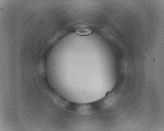 X0000070430274200606231925