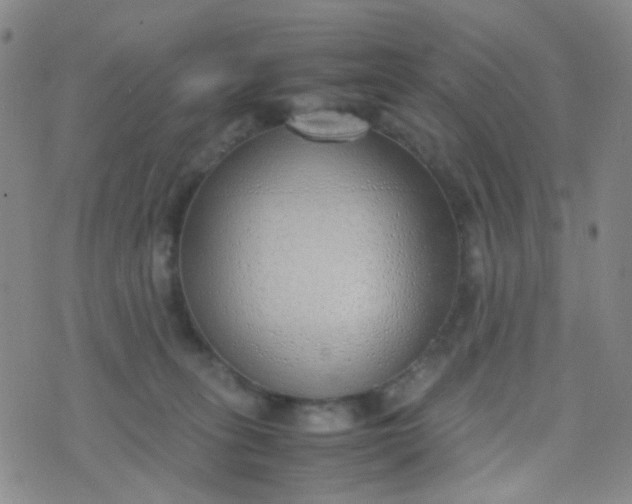 X0000070430275200606231925