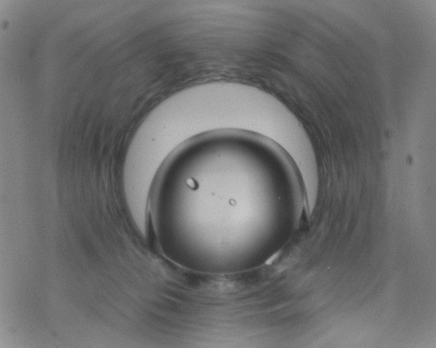 X0000070430276200606231925