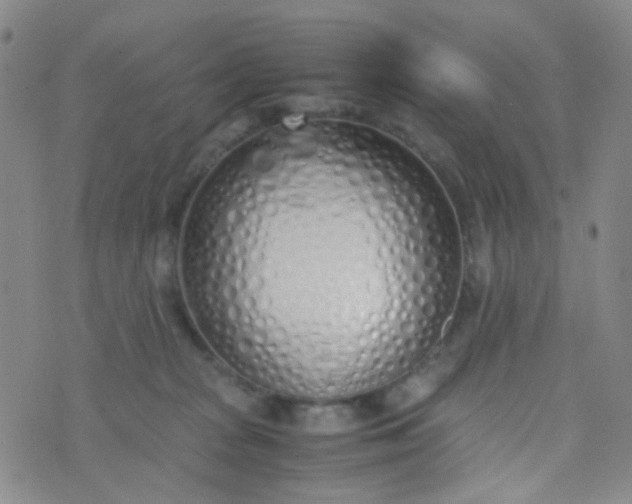 X0000070430277200606231925