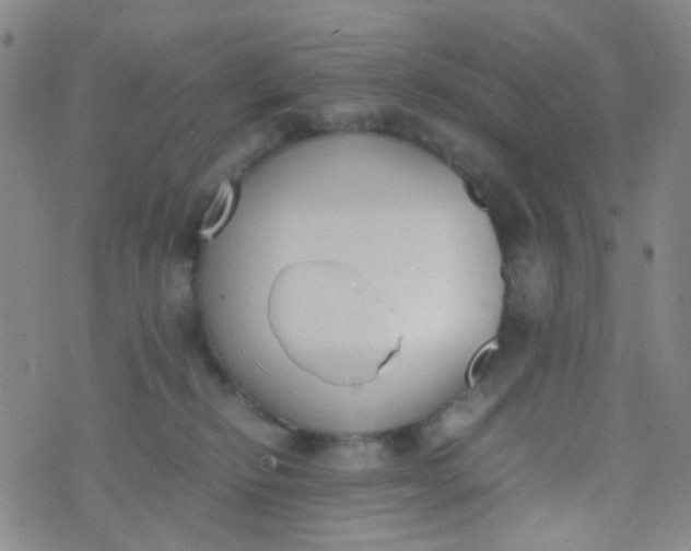 X0000070430278200606231925