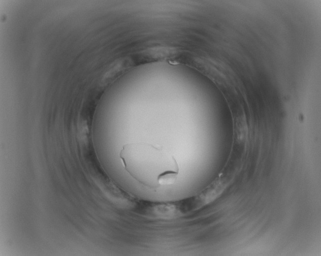 X0000070430279200606231925