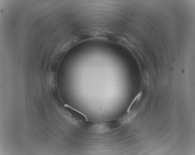 X0000070430280200606231925