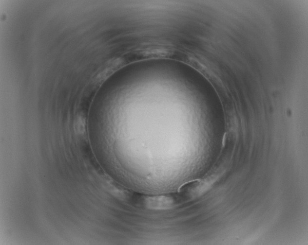 X0000070430281200606231925