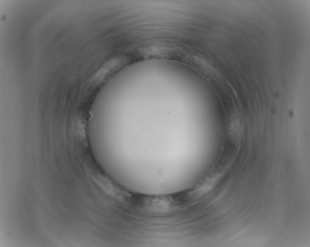 X0000070430282200606231925