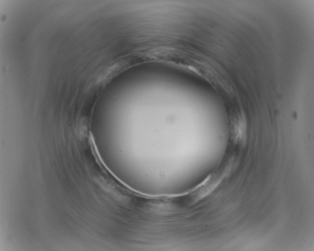 X0000070430284200606231926