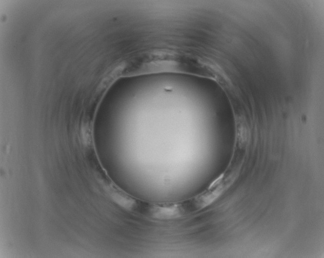 X0000070430285200606231926