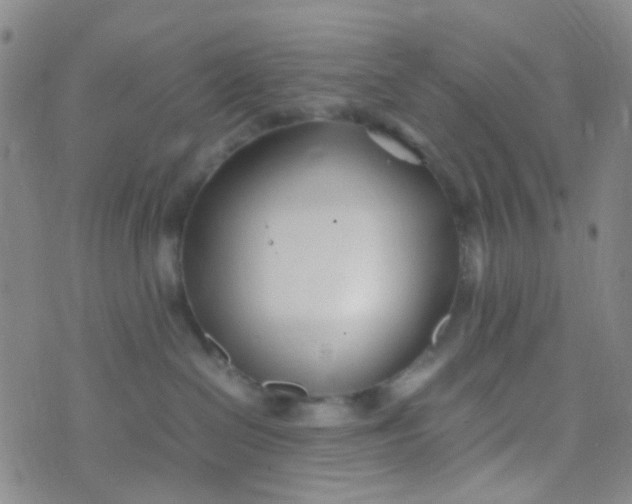 X0000070430286200606231926