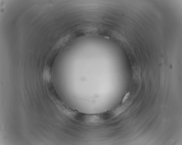 X0000070430287200606231926