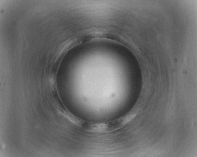 X0000070430288200606231926