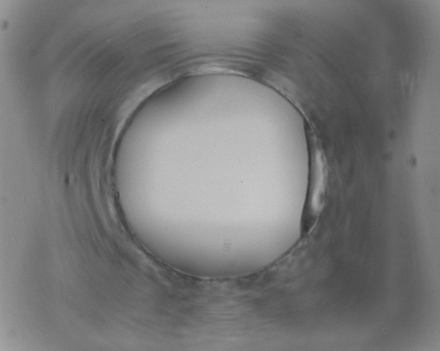 X0000070430289200606231925