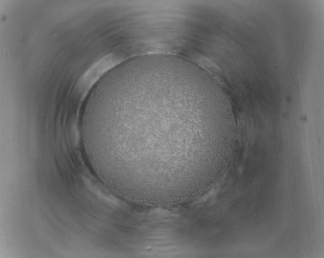 X0000070430290200606231925