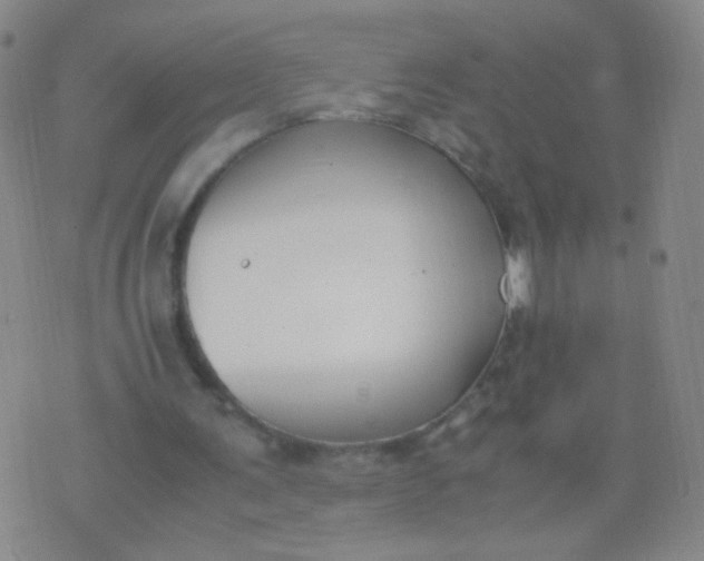 X0000070430291200606231925