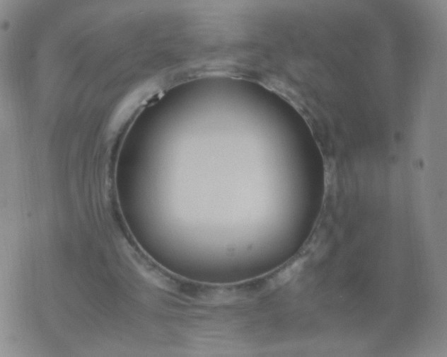 X0000070430293200606231925