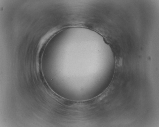 X0000070430294200606231925