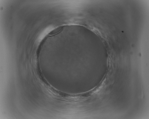 X0000070430295200606231925