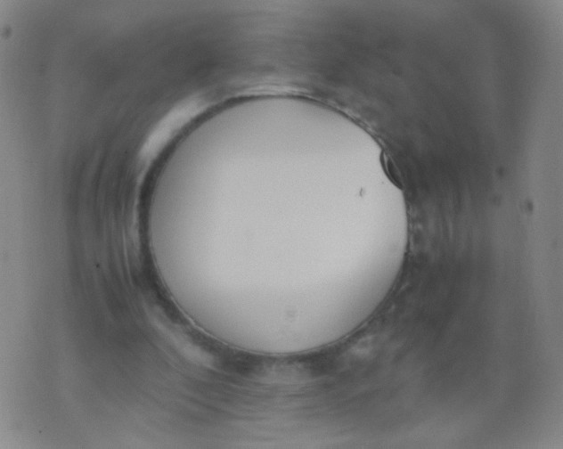 X0000070430296200606231925