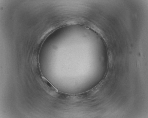 X0000070430297200606231925