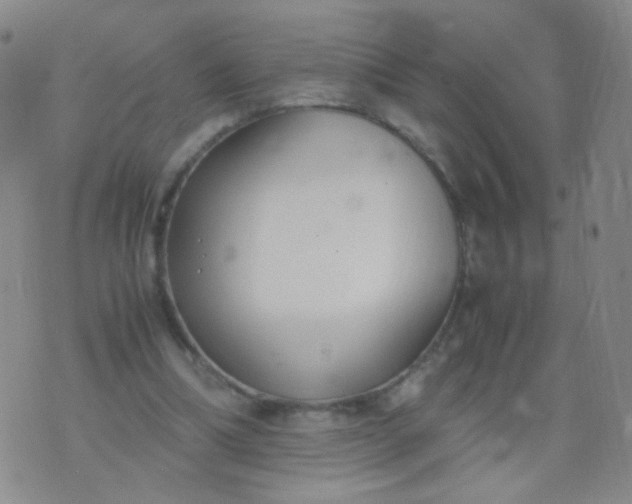 X0000070430298200606231925