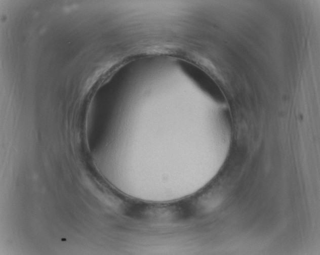 X0000070430299200606231925