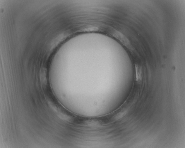 X0000070430300200606231925