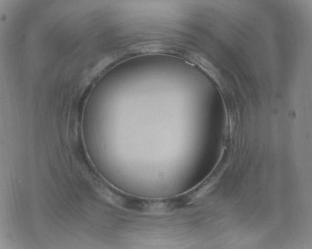 X0000070430301200606231925